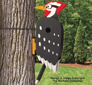 Wacky Woodpecker Birdhouse Pattern