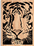 Product Image of Tiger Stare Scrolled Art Project Pattern