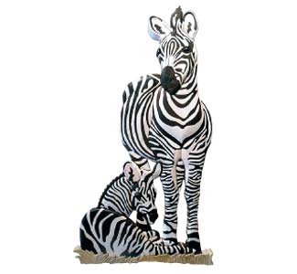 Zebra Family Intarsia Design Pattern