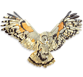 Taking Flight Owl Intarsia Design Pattern