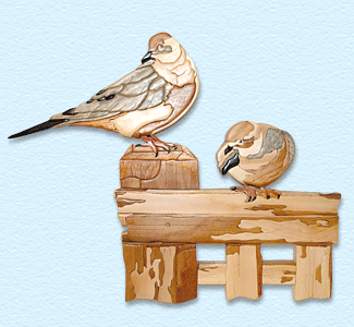 Product Image of Mourning Dove Intarsia Design Pattern