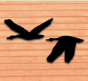 Flying Geese Shadow Woodcraft Pattern
