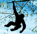 Swinging Monkey Shadow Woodcraft Pattern