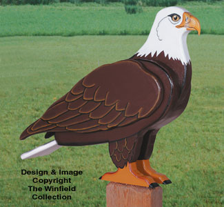 3D Life-Size Eagle Woodcraft Pattern