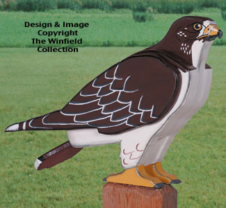 Product Image of 3D Life-Size Hawk Woodcraft Pattern