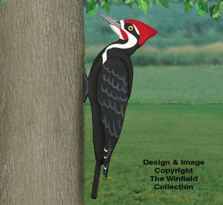 3D Giant Pileated Woodpecker Pattern