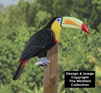 3D Life-Size Toucan Wood Pattern
