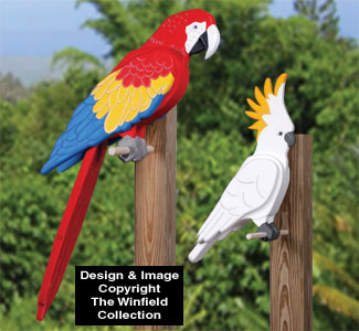 3D Tropical Birds Pattern Set