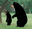 Standing Bears Woodcraft Pattern