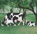 Yard Cow Collection Woodcraft Pattern Set