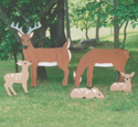 Yard Deer Wood Pattern Set 