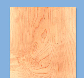 Product Image of Maple Hardwood 