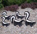 3D Life-Size Skunks Woodcrafting Pattern