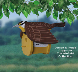 Product Image of Meadowlark Birdhouse Wood Project Pattern