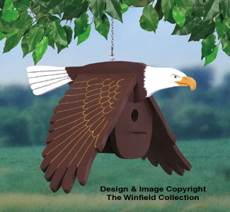 Product Image of Flying Eagle Birdhouse Woodcraft Pattern