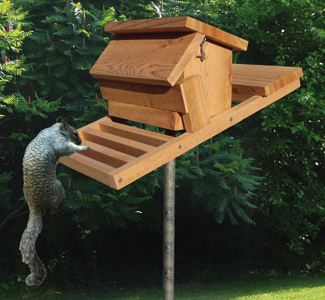 Product Image of Squirrel-Proof Birdfeeder Wood Plan
