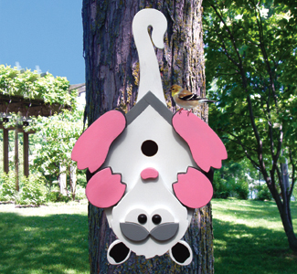 Product Image of Possum Birdhouse Wood Plan