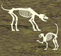 Skeleton Dog and Cat Woodcrafting Pattern