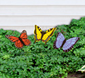 12 Butterfly Poke Wood Patterns