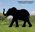 Large Elephant Shadow Wood Pattern