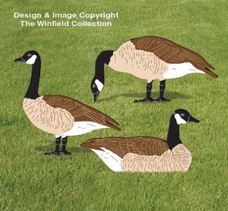 Product Image of Canada Geese Woodcraft Pattern
