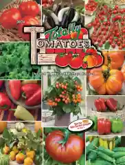 Chef's Choice Bicolor Hybrid Tomato, AAS Winners: Totally Tomatoes