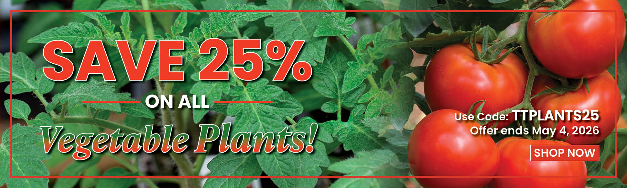25% Off Vegetable Plants