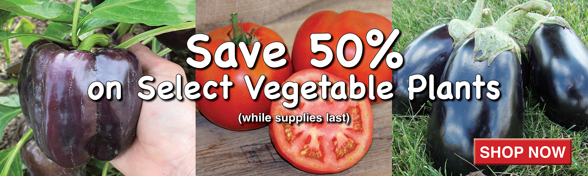 50% Off Vegetable Plants