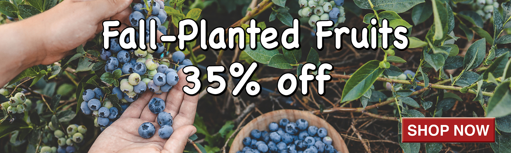 35% Off Fall Fruits