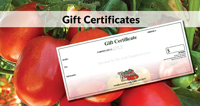 Gift Certificates