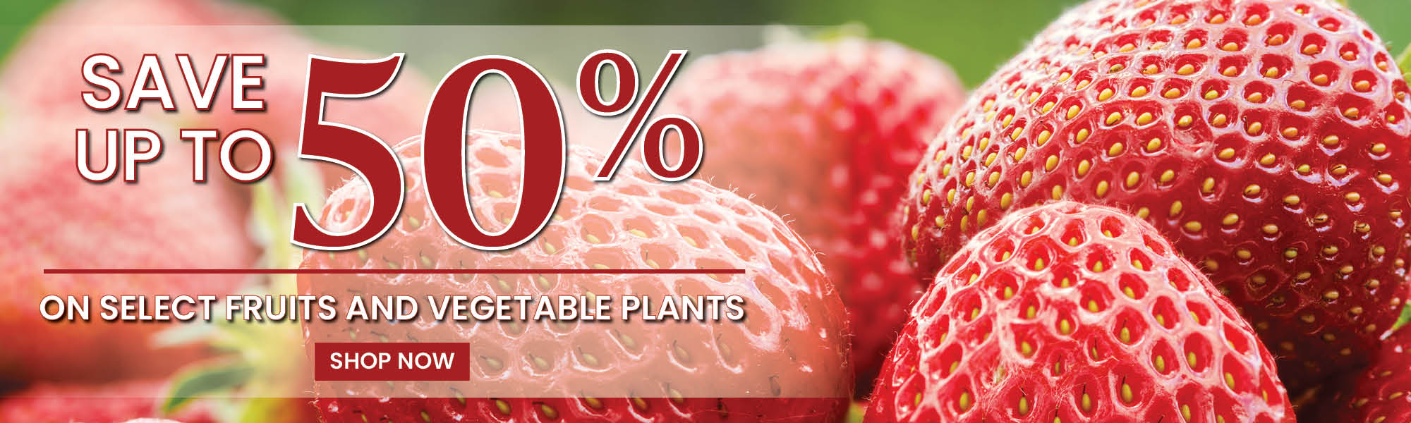 Save up to 50% on select fruit and vegetable plants
