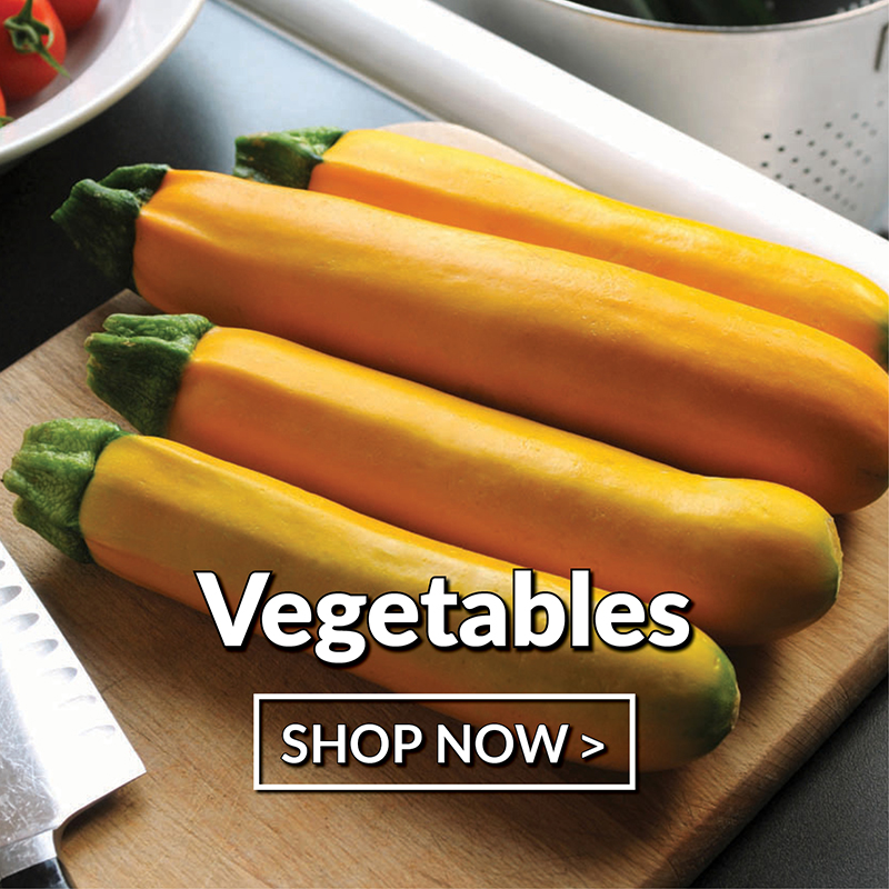 Vegetables