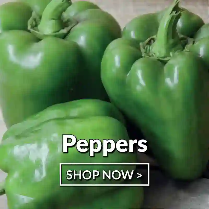 Peppers