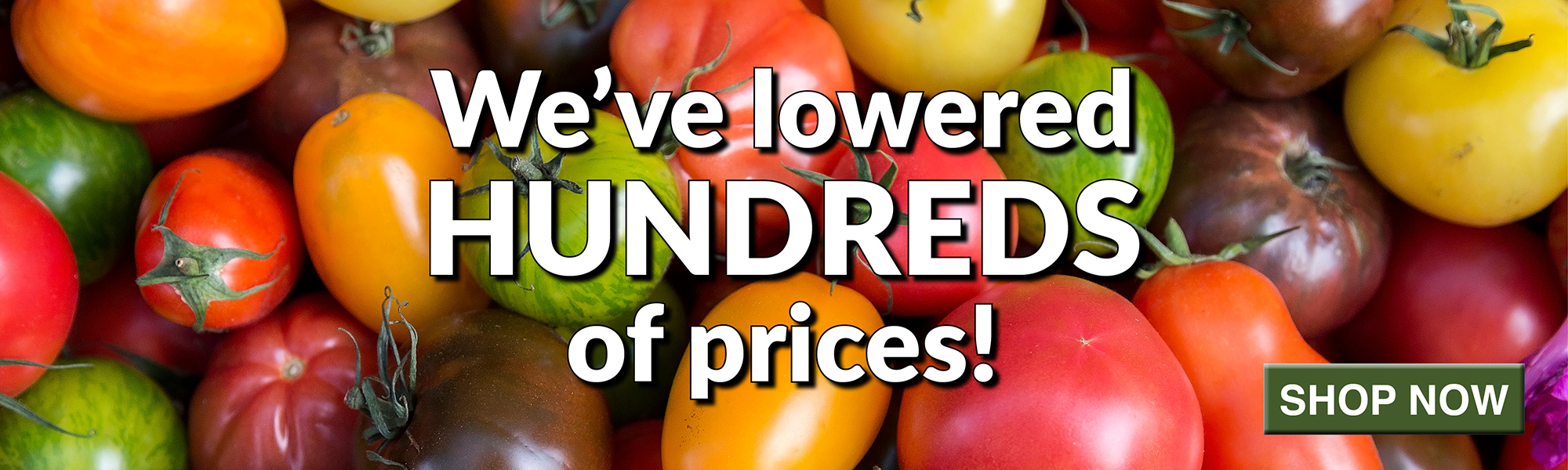 We Lowered Prices