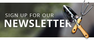 newsletter signup