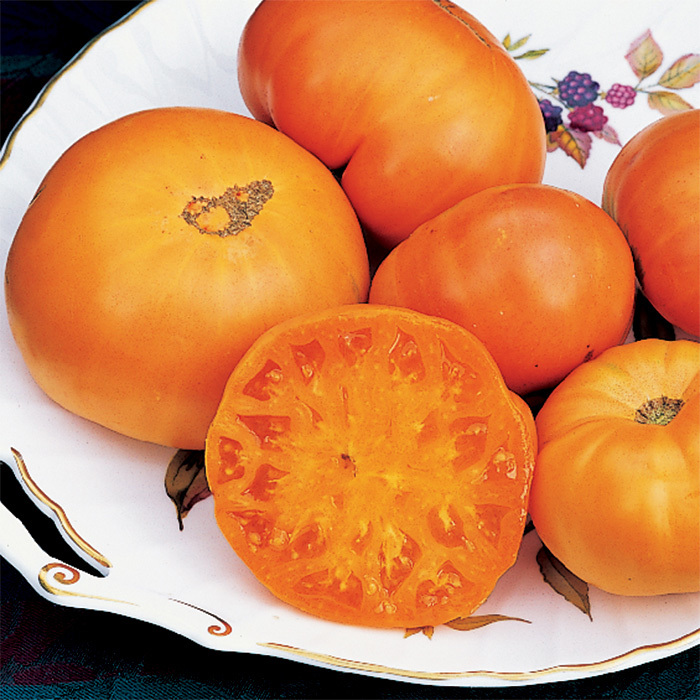 Amana Orange Tomato Large Beefsteak FREE SHIPPING NON-GMO 30 Seeds Rare 