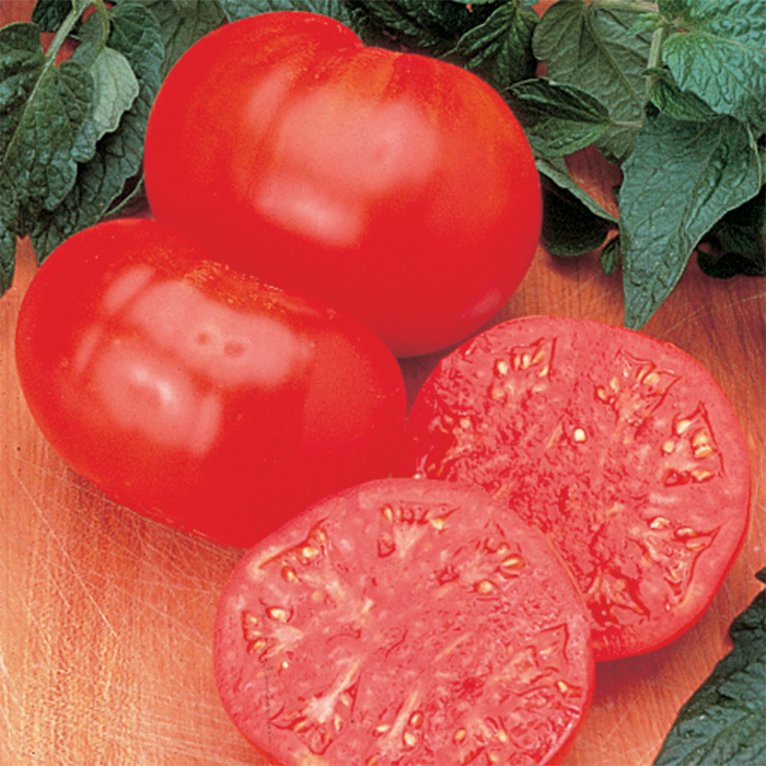 Beefsteak Tomato
