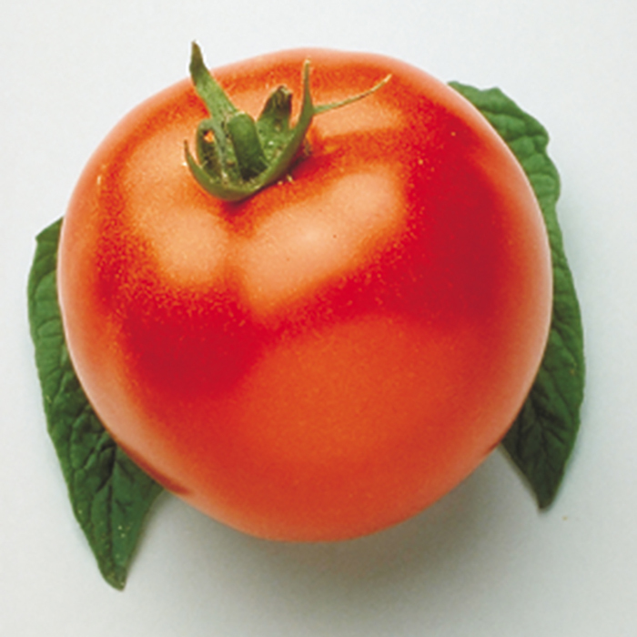 Campbell's 33 Tomato