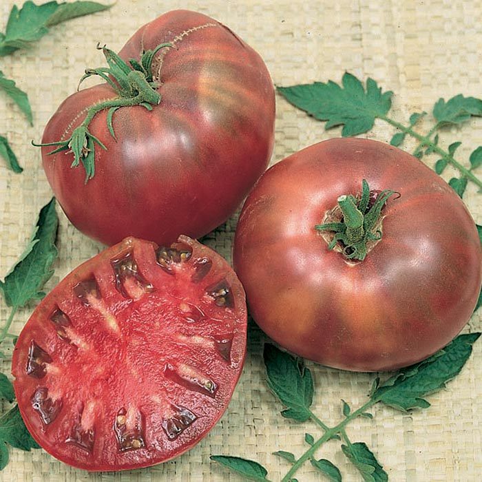Heirloom Cherokee Purple Tomato Seeds 