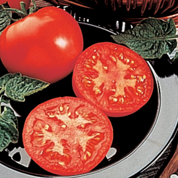Husky Red Hybrid Tomato