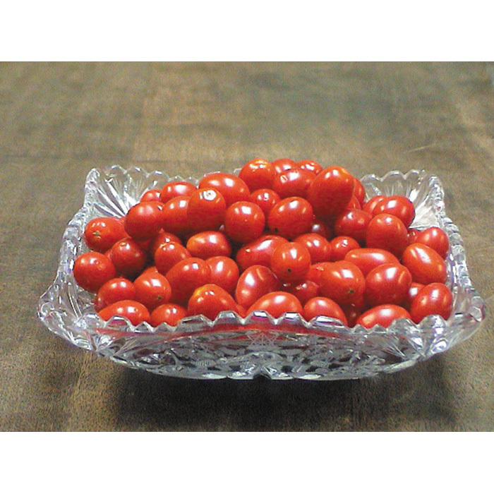 Jelly Bean Red Hybrid Tomato