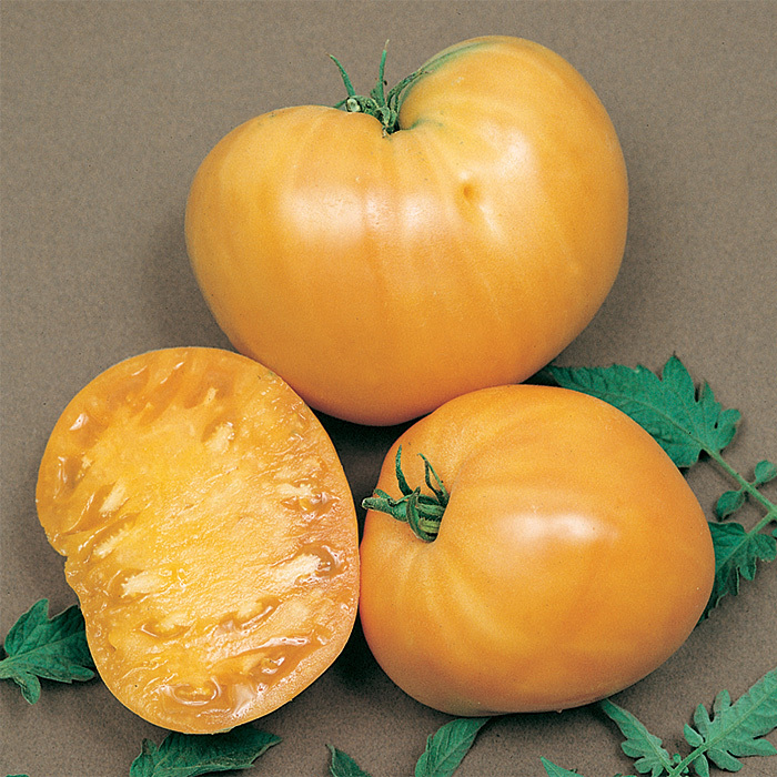 Orange Oxheart Tomato
