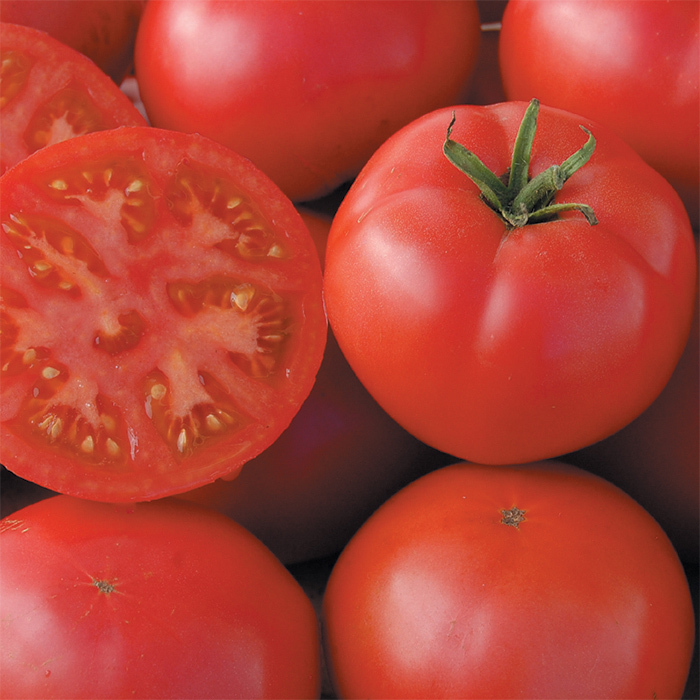 Redfield Beauty Tomato