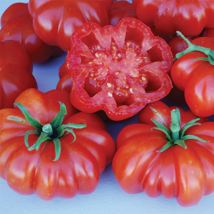 Rossa Sicilian Tomato
