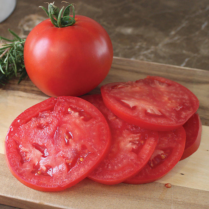 Rubee Plus Hybrid Tomato