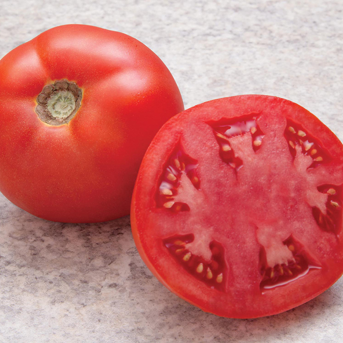 Simplicity Hybrid Tomato
