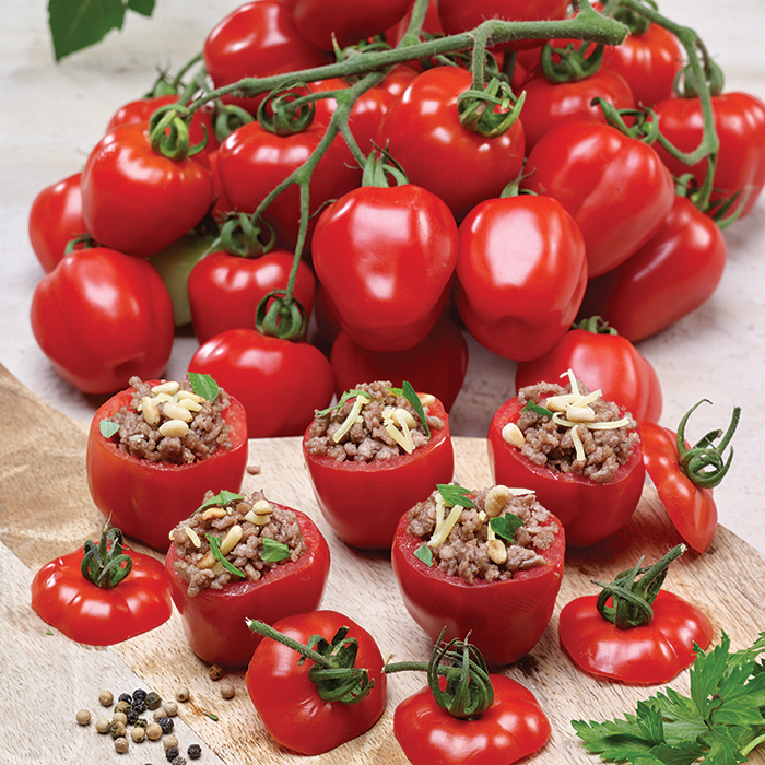 Tutti Fruitti Stuffin Xs Hybrid Tomato