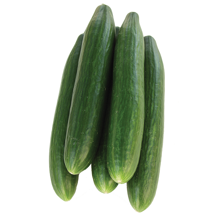 Bella Hybrid Cucumber