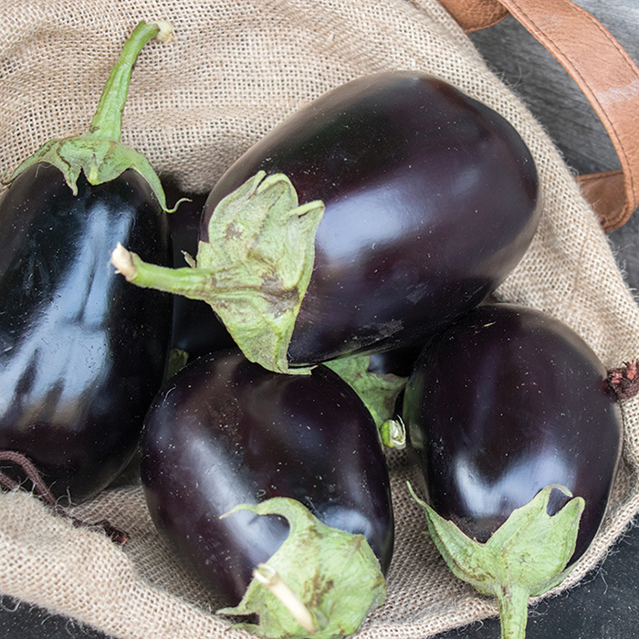 Goya Hybrid Eggplant