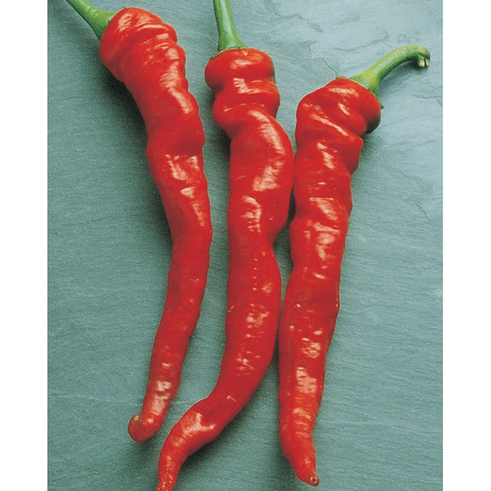 Cayenne Large Red Thick Pepper